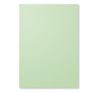 Card Stock A4 Pistachio Pudding 	131299 Price: 8,50 € 6,38 €