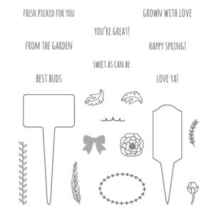 stampin'up set de tampon from the garden 