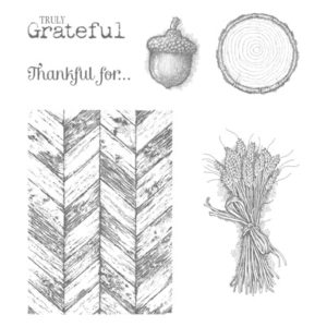 Set de tampon Vraiment Grateful stampin'up