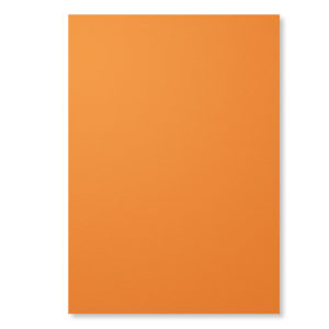 Tangelo Twist A4 Cardstock