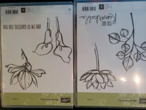 set de tampons stampin'up remarkable you