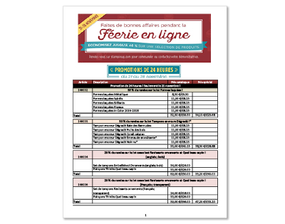 th_onlineex_flyer_demo_nov2116_fr